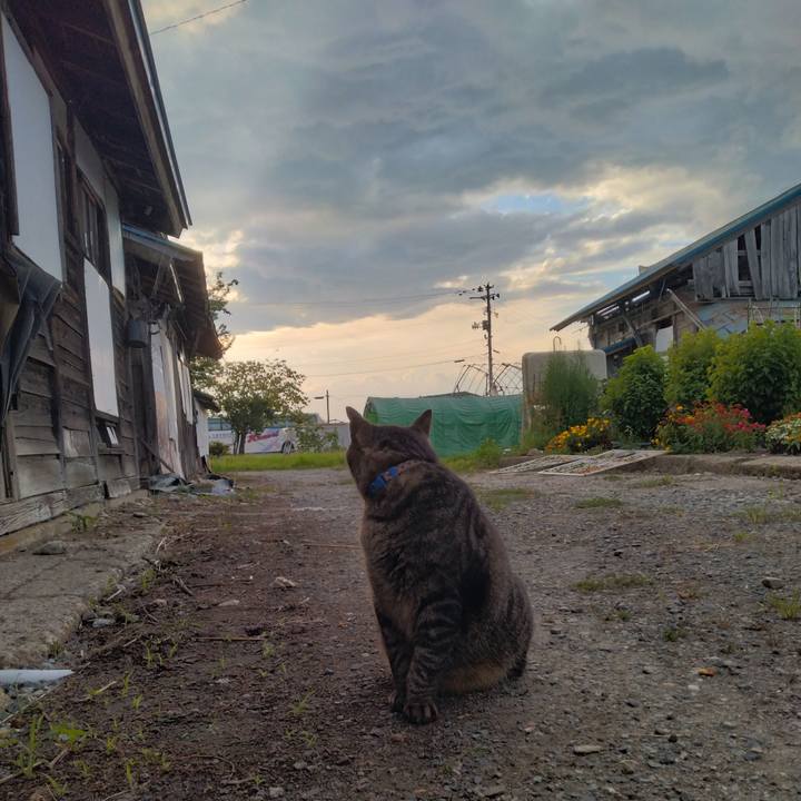 Ef47d0ee e991 43c1 b893 84050e295ef9 1692143450827