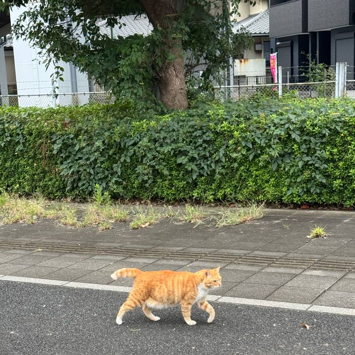 Ef47f190 3c97 4b28 a889 f1a4e22b28c6 1759976690969