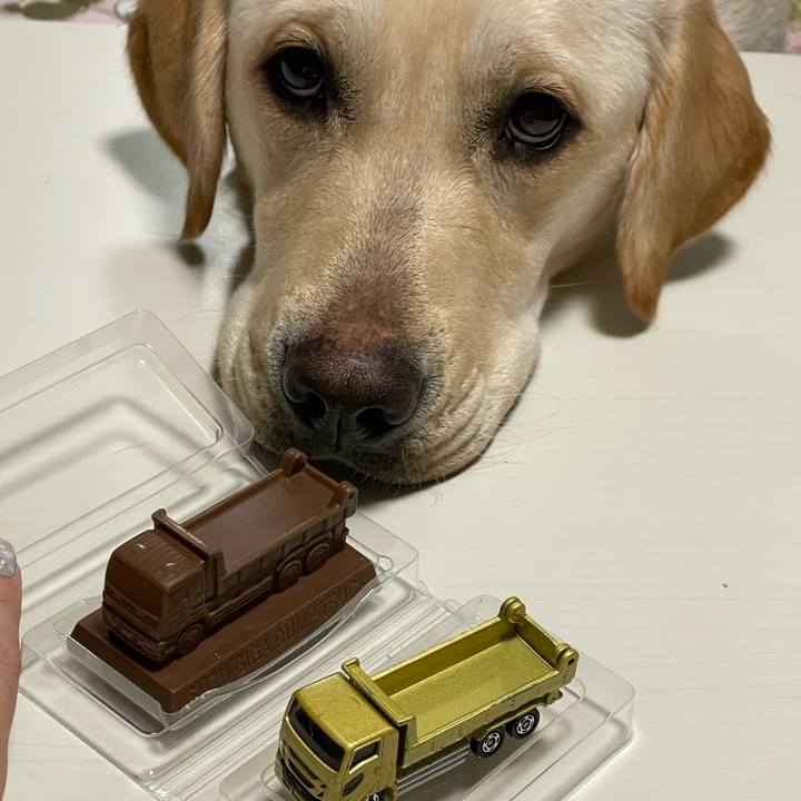 Ef482846 d18f 4888 b5d5 8bbe2905ab2b 1644484102266