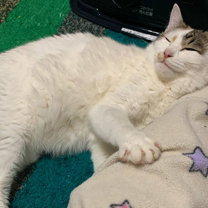 Ef48552b 851a 4309 8161 656659bb50c0 1612694824986