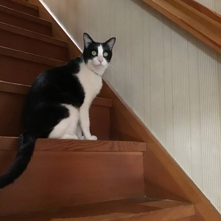 Ef485973 0a8f 463c 80c7 0727cad40548 1759046298050