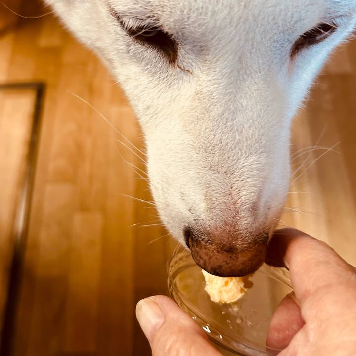 Ef486f82 dad2 4f96 8461 d038e8e44346 1696289205513