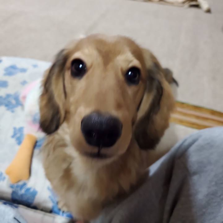 Ef488fcd bdd2 4267 9239 ca288a6b5e0a 1772877582083