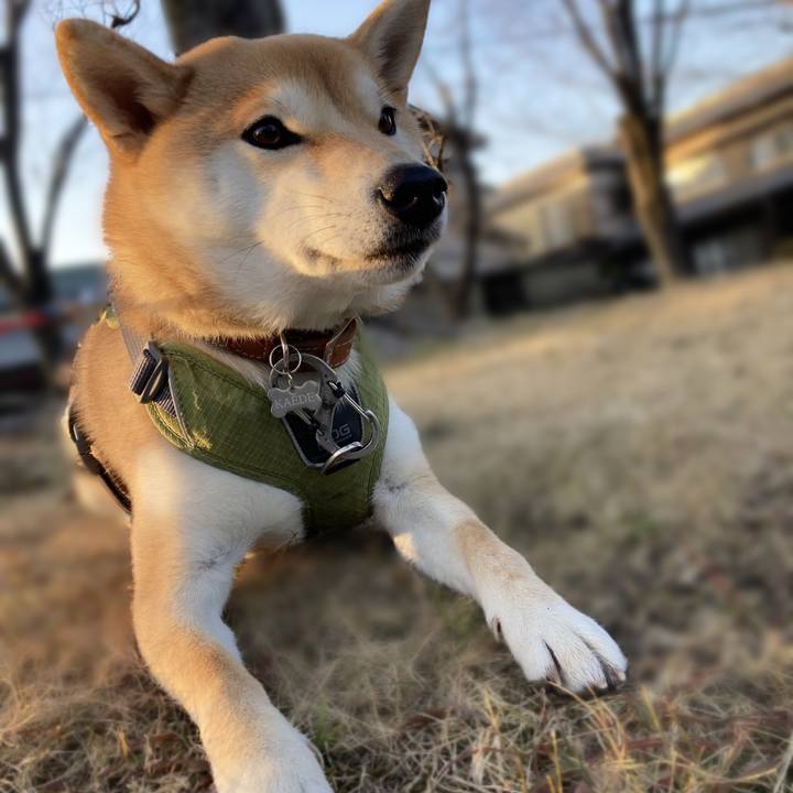 Ef48a11d ad06 4347 8d75 8bf28ace4d5e 1674031123000