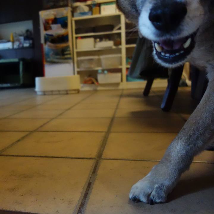 Ef48f857 51af 4062 91f0 8abd35fd2981 1660263734634