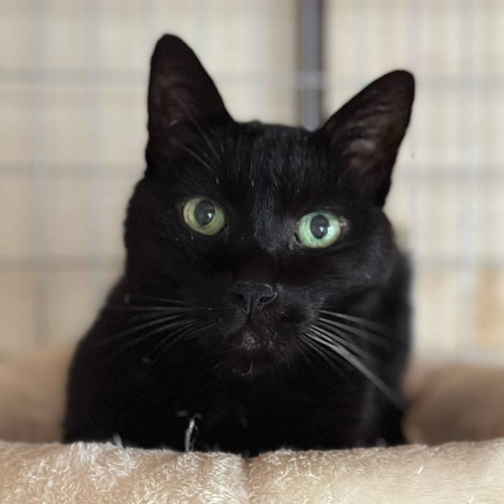 Ef48f9b3 1f1e 4478 9ddf 3e262457b1d1 1707529490580