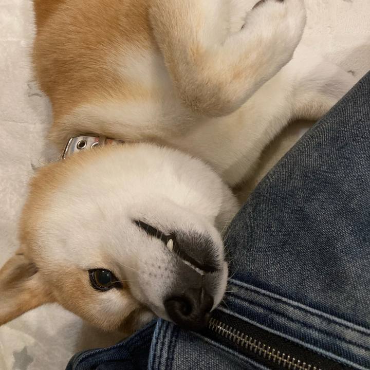 Ef4900be 4b3f 4fad 8c53 839641249598 1710019408235