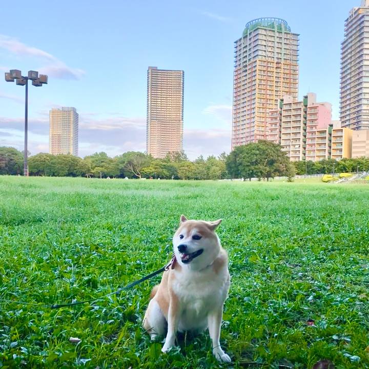 Ef491174 3d1e 4be6 9a35 4a16b971d384 1630932749197