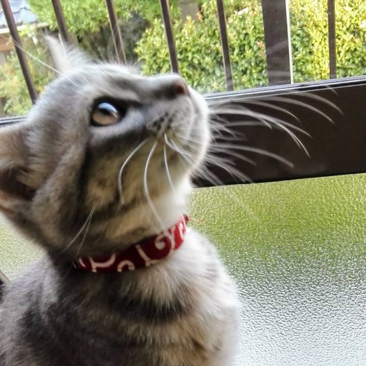 Ef4947e7 5065 4fa2 b627 ccd59485db10 1595556441314