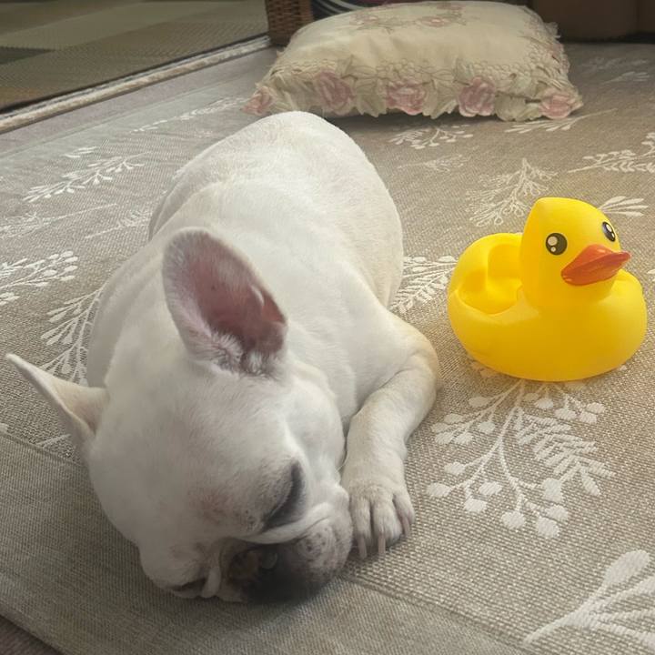 Ef497c55 75a0 4cc2 a253 dde34992a9da 1756606988039