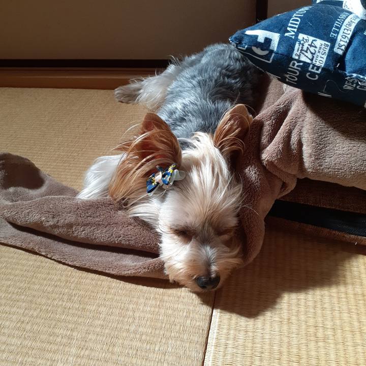 Ef4994ba 49a0 47fa a77a 559e346bee0a 1565478962538