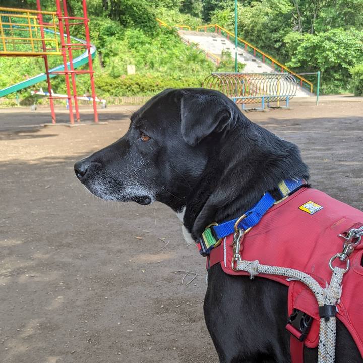 Ef499ce9 46d1 41d0 bb5c 05cf687b0b97 1683852558549