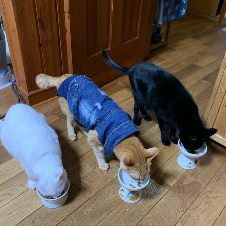 Ef49a920 740e 4cee 80f9 9365cc382d3c 1625485865549