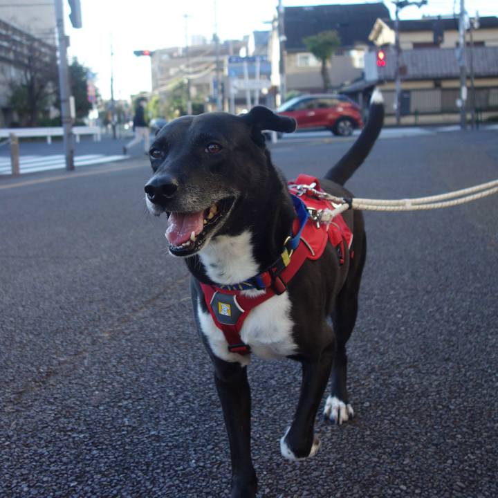 Ef49a93d da17 41e6 a5a4 9fa4fc9fc5b8 1668645699564