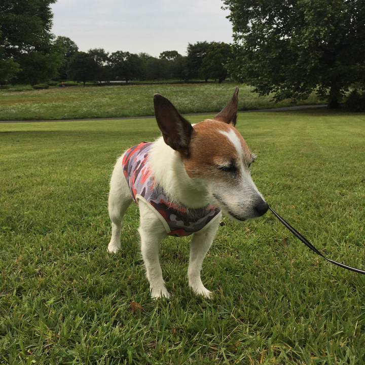 Ef49b0eb 8f30 490d 93db b1eb5c97fee4 1593732605332