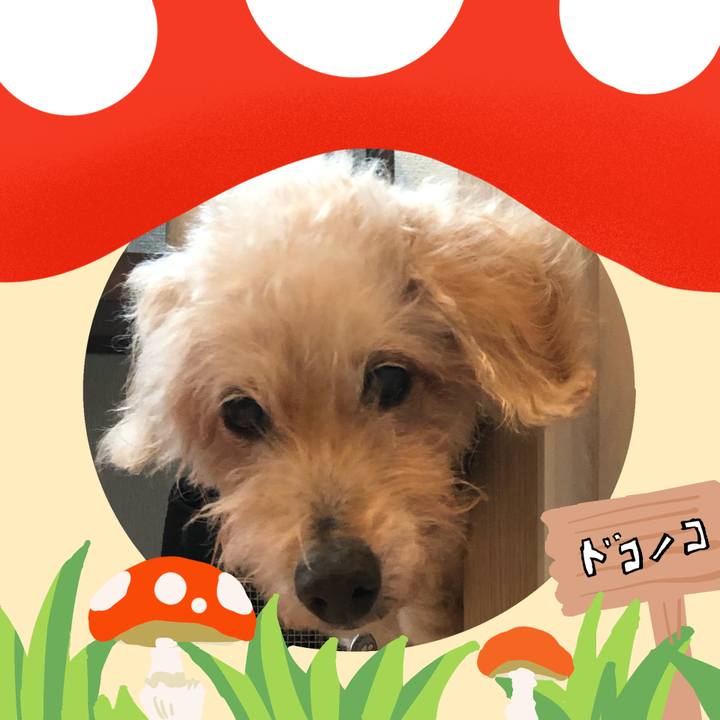 Ef49b2f7 25ed 40b5 a0dd 65ccb1bfa8f8 1729342984297