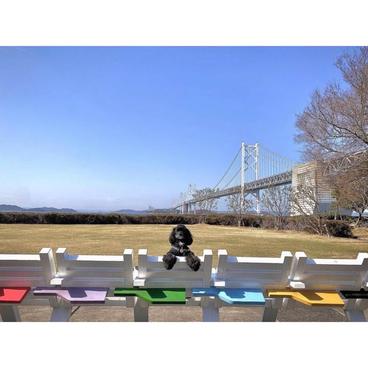 Ef49ca34 bcda 4a1d a616 d6e844de8ae7 1679275738569