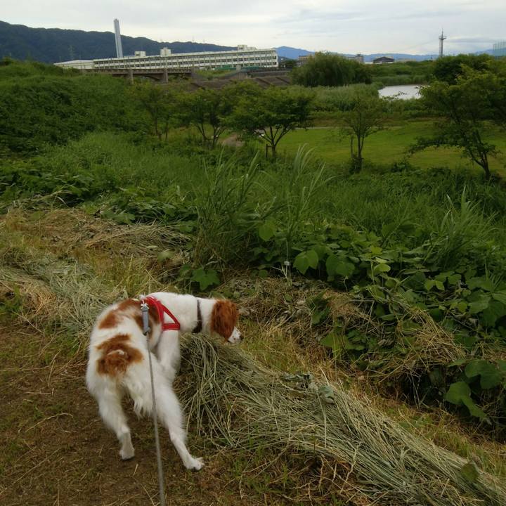 Ef4a1fe1 9eee 4166 b08e b6e292c43d61 1529322368954