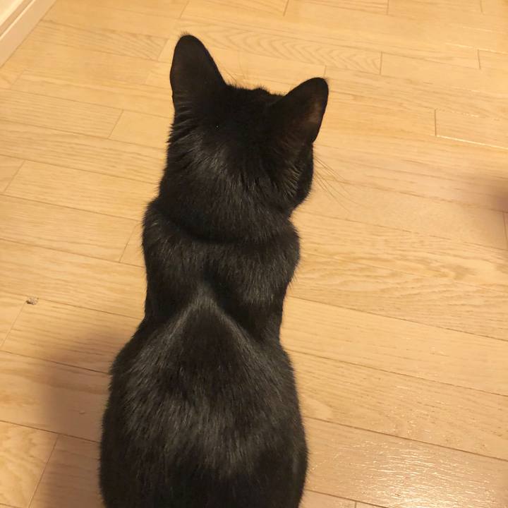 Ef4a22c5 cba9 41e7 997b 4b634126aeee 1584270511425