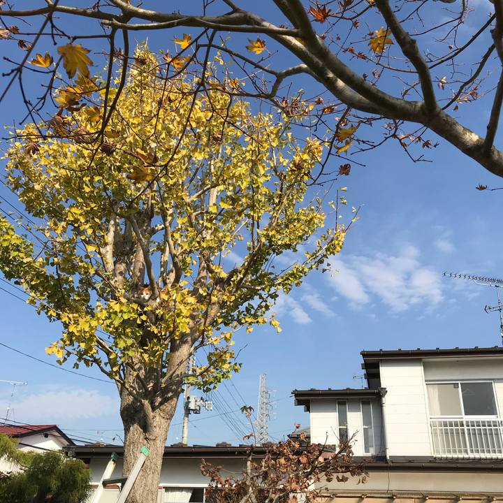 Ef4a65df 10ad 4444 8e45 a3514ebb9f6e 1510020716184