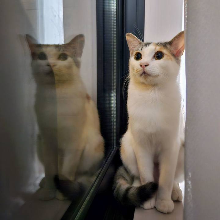 Ef4a6e3a a8ce 477f 9a29 9fb6f0ad251a 1751935838463