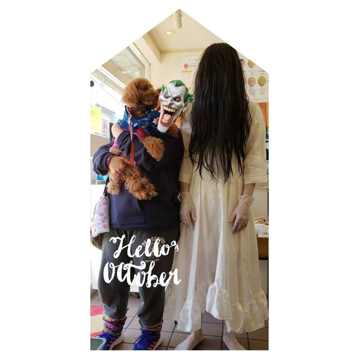 Ef4a9bf8 e6d4 4f37 987d 324122c64a12 1540957334924