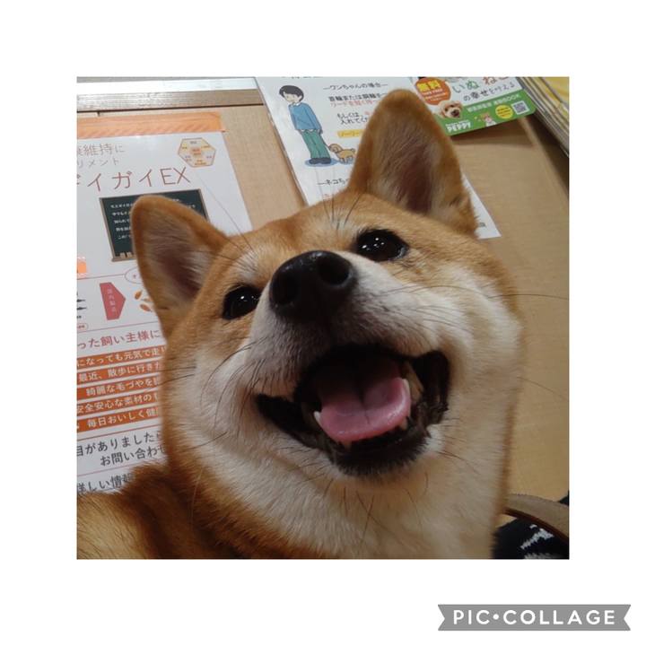 Ef4ab1b1 e368 45ef b200 08d8fd6c9257 1676152092519