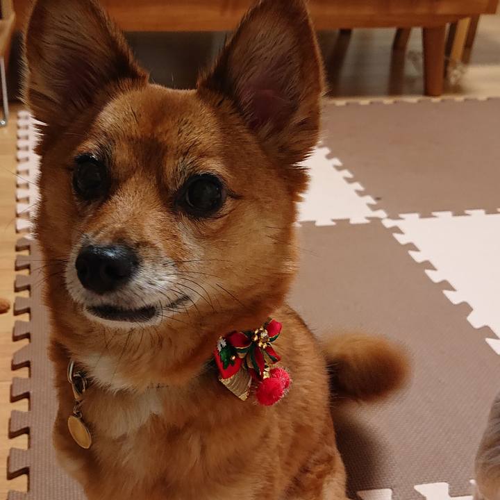 Ef4ac60e 63c4 4531 8751 c45ef6fc4302 1576928363848