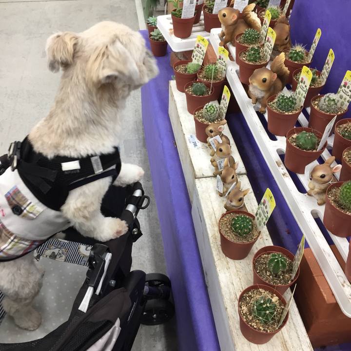 Ef4ae29b 9e7c 42d1 b8e4 9d116118040e 1534413674329