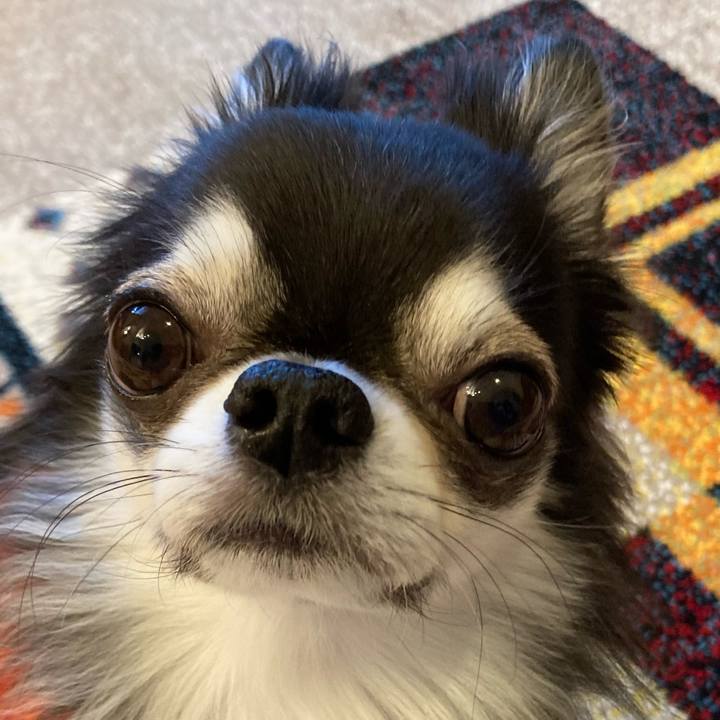 Ef4ae743 d333 43ed a5da 5bf5a8e9bcb6 1706395594939