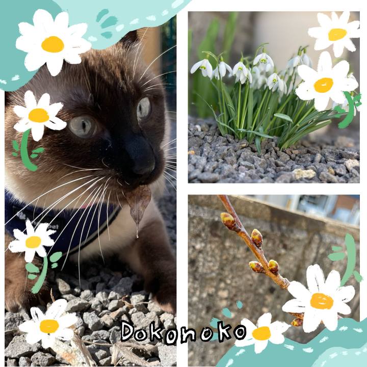 Ef4b0db2 c614 43dc a056 8fb9c41c26ae 1712475828882