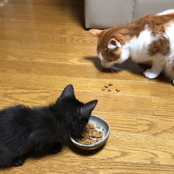 Ef4b1258 54fc 4ba8 85f3 b066ba266be5 1561847725658