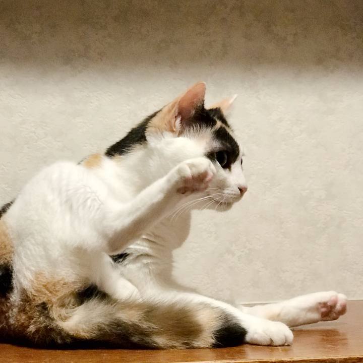 Ef4b3442 3dad 4c3d 9498 0d4b0b1856f0 1537800703487