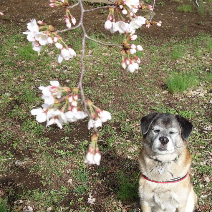 Ef4bfe07 df37 4723 aa0e 9967dcfa7362 1631923389867