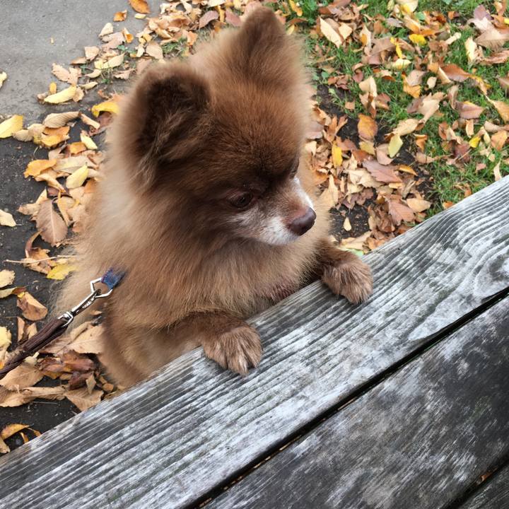 Ef4bffef d694 4ea8 842d 685c43cd0713 1513749873579