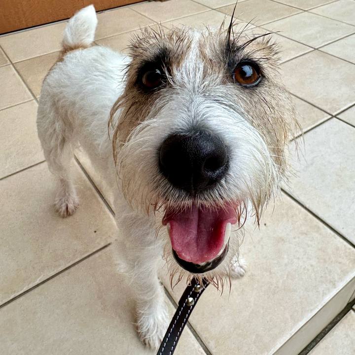 Ef4c0640 ff69 4d05 8b4c 519210b2829a 1726469148244