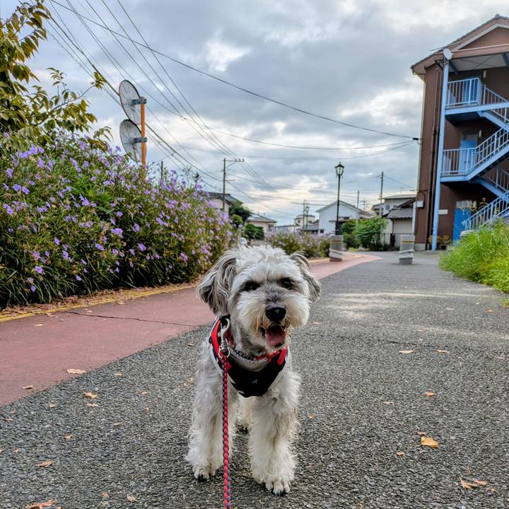 Ef4c160f 90fe 4a1c 9ca9 89cb6336f055 1758320416310