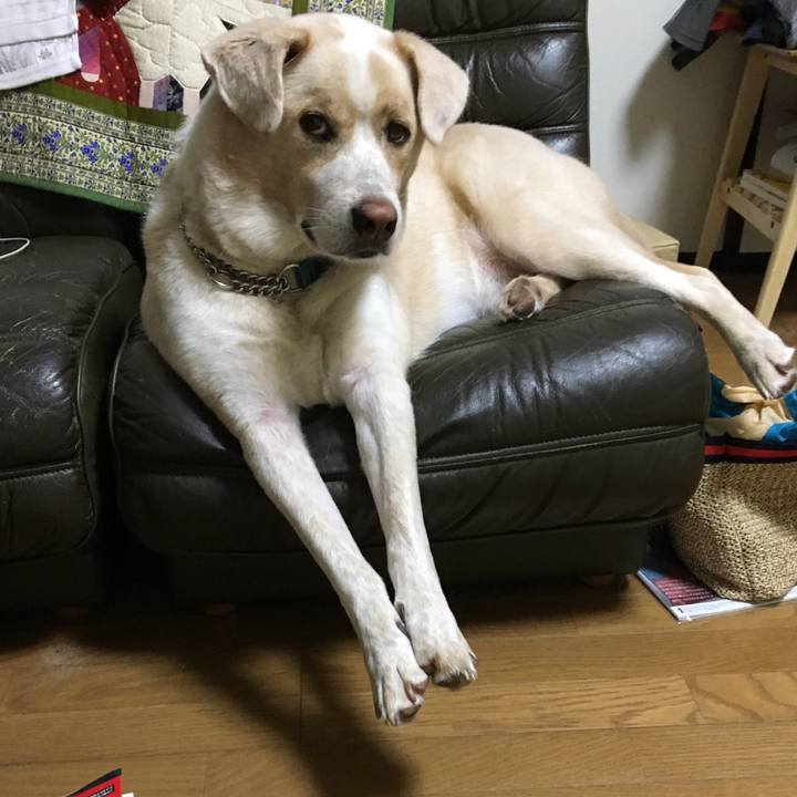 Ef4c50a3 9b97 413b a3cc 04b8bea8222f 1538053111557