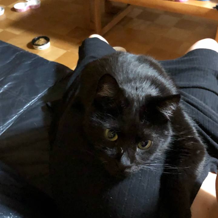 Ef4c5374 20d0 4632 bba4 c6c8a79b397d 1569065088788