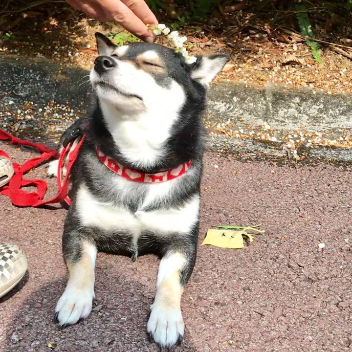 Ef4c6883 0c51 4f0d 86c7 e1e156d1f7a1 1521423655974