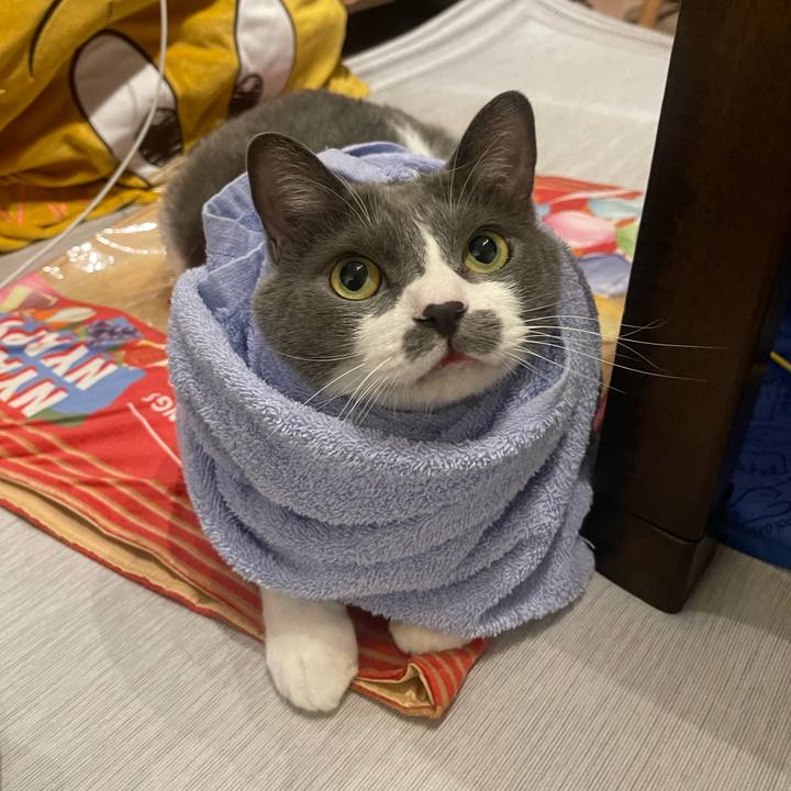 Ef4cc87d 9b8b 42b4 8223 82536f7f34f4 1754315947793