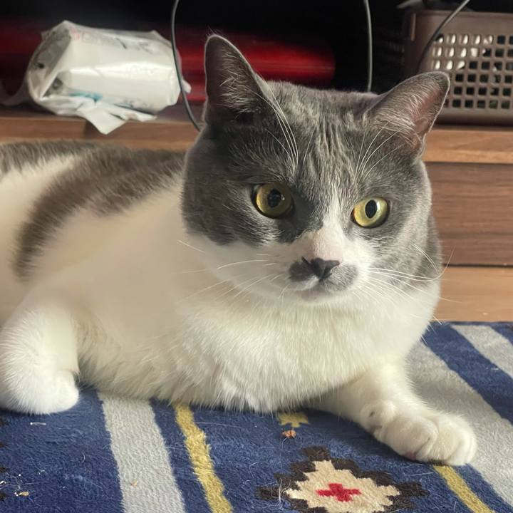 Ef4cca73 1aa4 47f1 acf8 3f5e762b4b6b 1628648589257