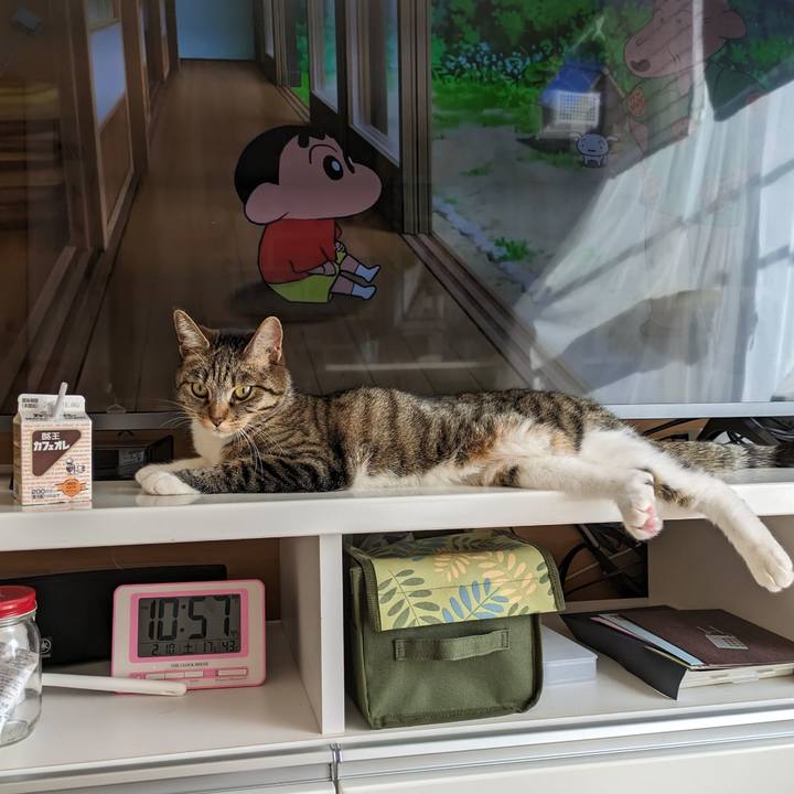 Ef4cf947 2377 49df 8108 6b3363b369ed 1707530370692