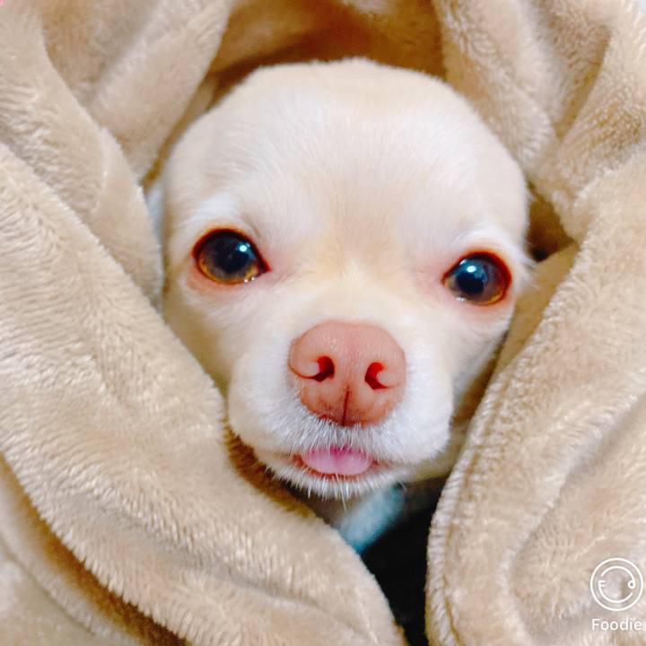 Ef4d20e4 03a7 4fc0 b917 e8e4b185e084 1642395658620