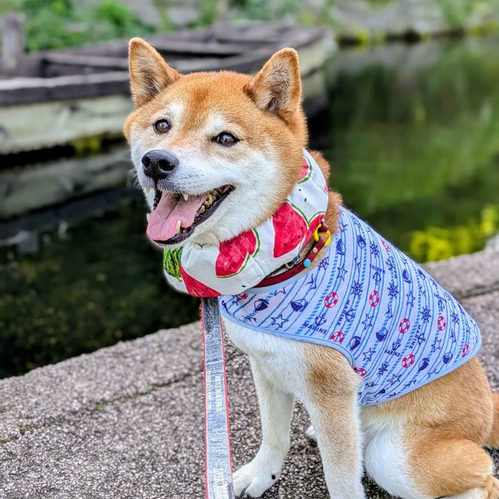 Ef4d2bf7 0513 4e80 9da8 847a3b265b2d 1750733871822