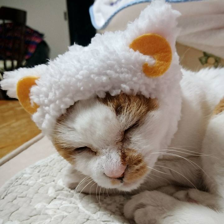 Ef4d54d1 4d8c 46ab 8c03 77d6b1ae6a4e 1558771976917