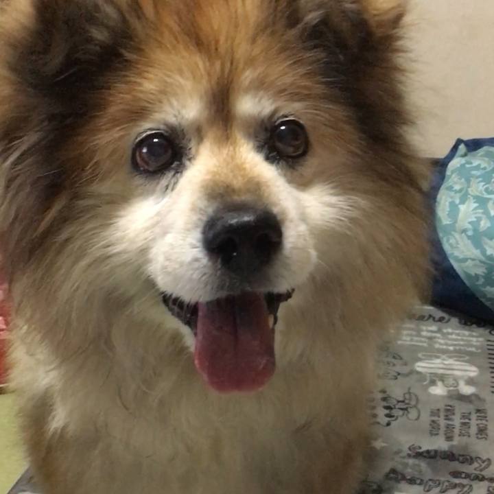 Ef4d5eda e8ab 4ec5 9920 8ec029161211 1638277029741