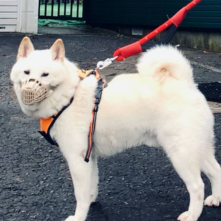 Ef4d909d a996 438b b8e2 f88db18912ba 1668988980391