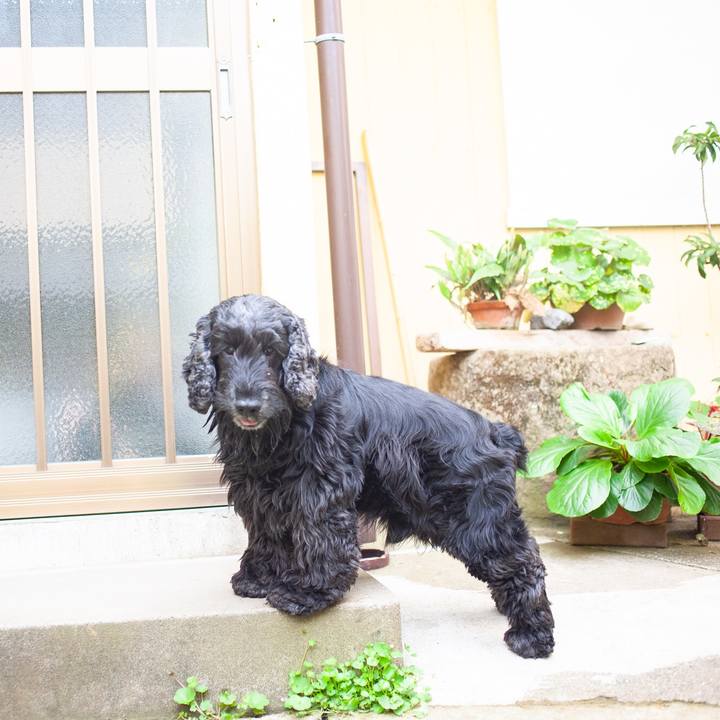 Ef4e1e5b 082c 4822 b836 8689944ccc25 1557589669552