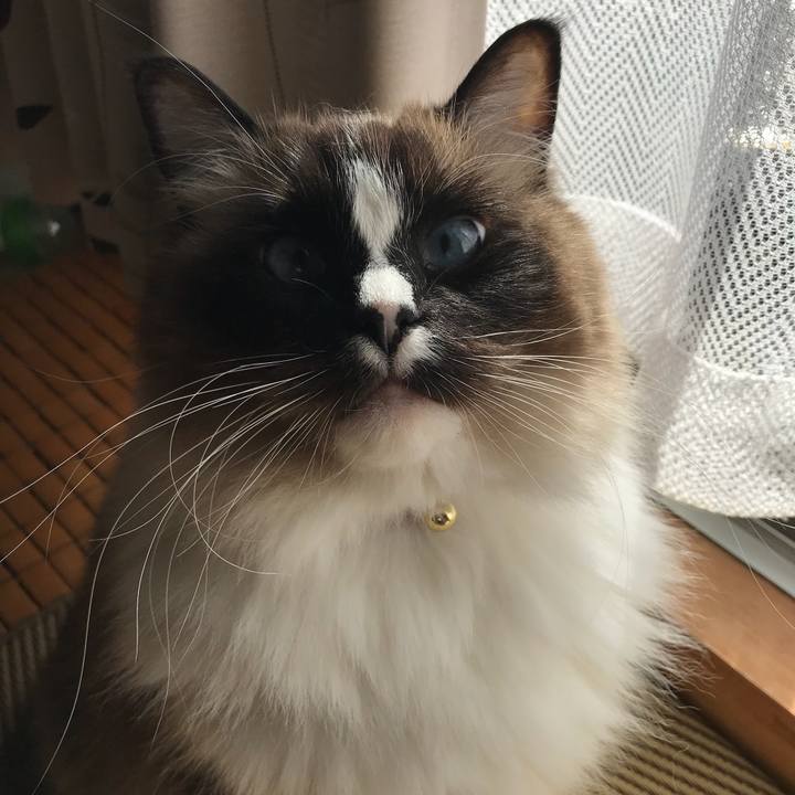 Ef4e6077 9ae5 47d1 b860 8b482430e129 1517747521298